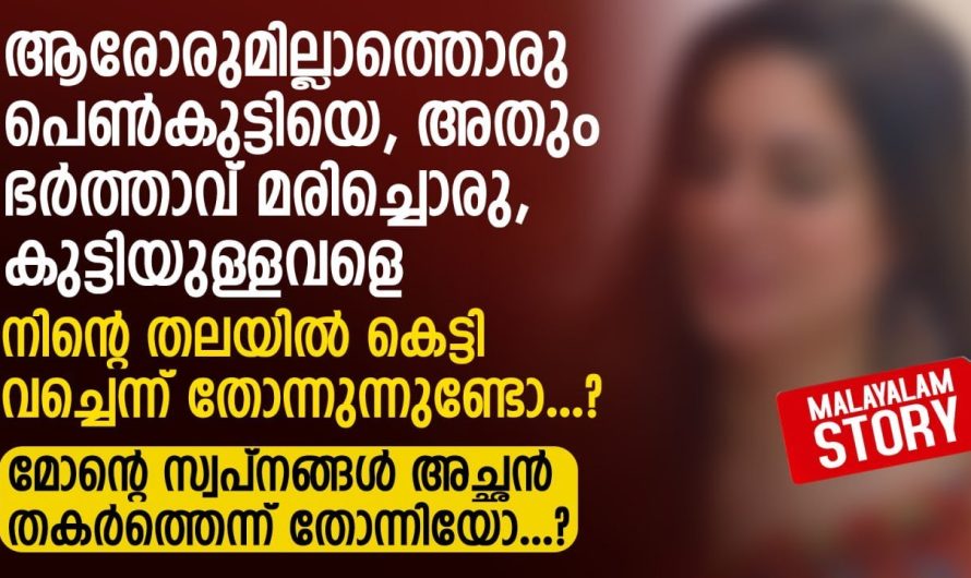 ഭർത്താവ് മരിച്ചൊരു കുട്ടിയുള്ളവളെ നിന്റെ തലയിൽ കെട്ടി വച്ചെന്ന് തോന്നുന്നുണ്ടോ