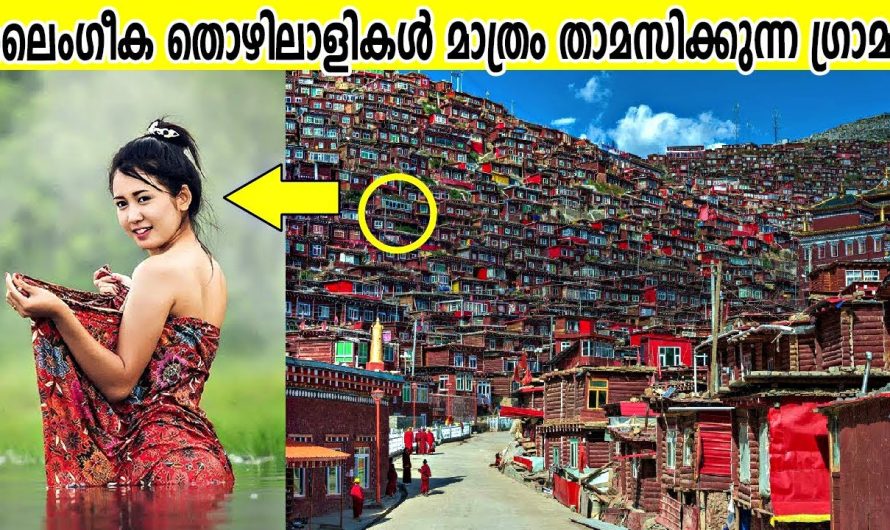 ലൈം…ഗീ…ക തൊഴിലാളികൾ മാത്രം താമസിക്കുന്ന ഗ്രാമം