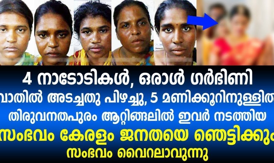 4 നാടോടി സ്ത്രീകൾ ആറ്റിങ്ങലിൽ ചെയ്തത് എന്തെന്ന് കണ്ടോ?