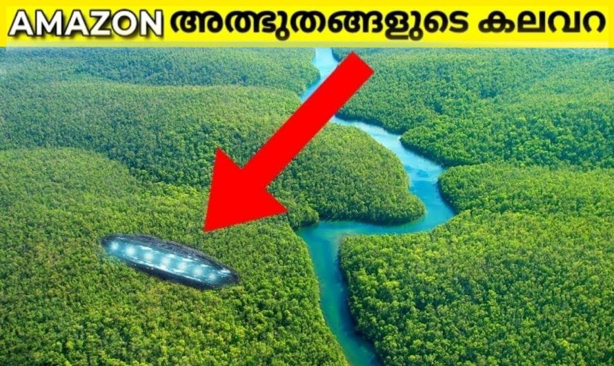 Amazon മഴക്കാടുകൾ അത്ഭുതങ്ങളുടെ കലവറ