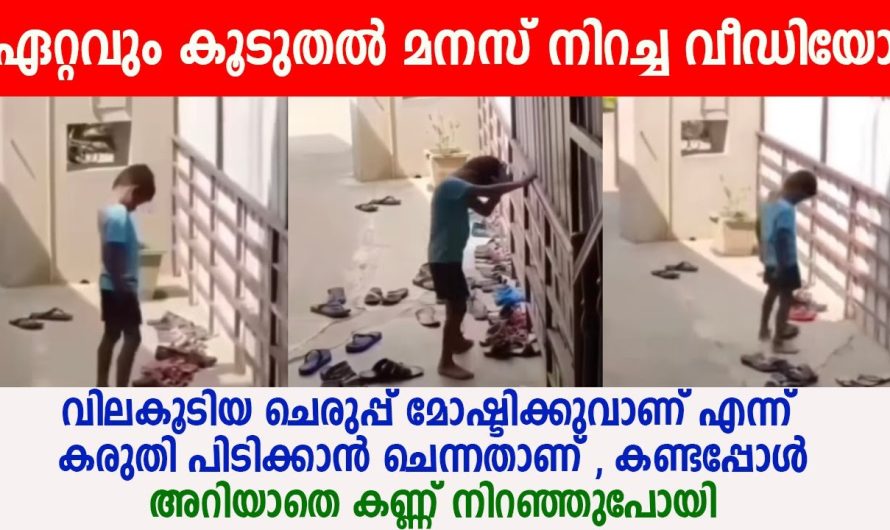ഇന്ന് കണ്ടതിൽ ഏറ്റവും കൂടുതൽ മനസ് നിറച്ച വീഡിയോ , കാണാതെ പോവരുത് !!