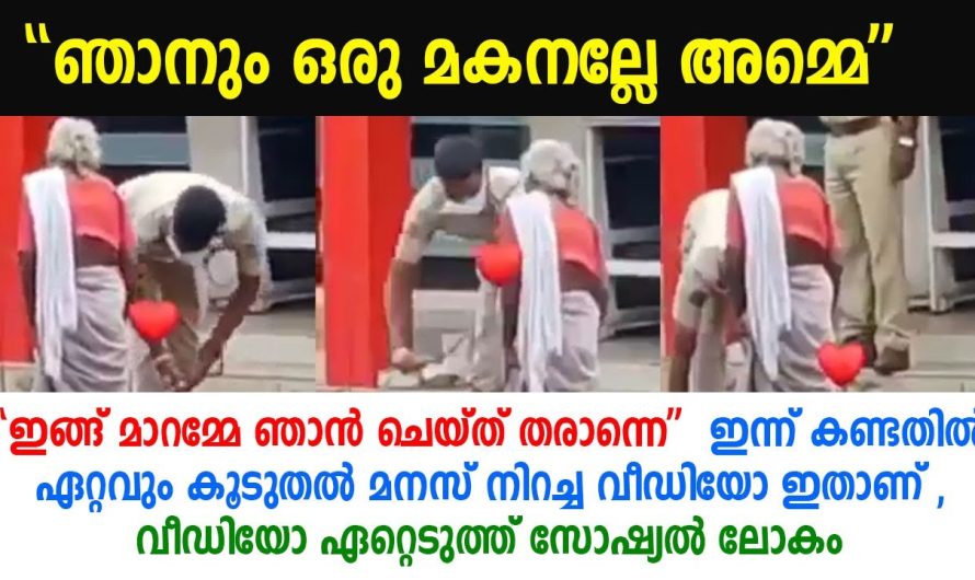 “ഇങ്ങ് മാറമ്മേ ഞാൻ ചെയ്ത് തരാന്നെ ” ഇന്ന് കണ്ടതിൽ ഏറ്റവും കൂടുതൽ മനസ് നിറച്ച വീഡിയോ ഇതാണ്