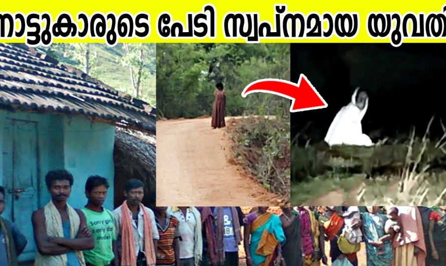 ഡ്രോൺ ഇത് പകർത്തിയില്ലെങ്കിൽ ആരും വിശ്വസിക്കില്ല.