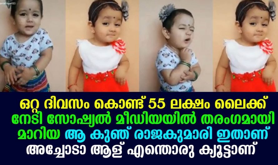 സോഷ്യൽ മീഡിയ ഒന്നടങ്കം തിരഞ്ഞ ആ കുഞ്ഞു രാജകുമാരി ഇവിടെ ഉണ്ട്