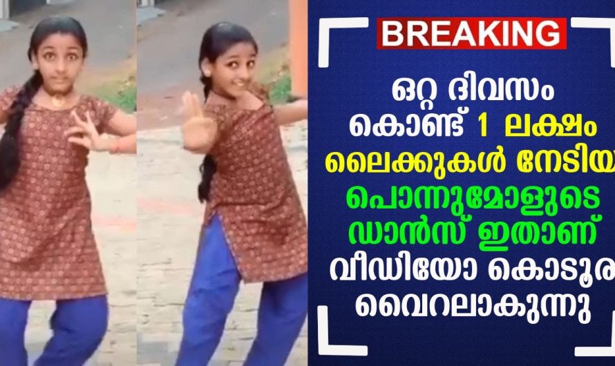 ഒറ്റ ദിവസം കൊണ്ട് 1 ലക്ഷം ലൈക്കുകൾ നേടിയ പൊന്നുമോളുടെ ഡാൻസ് ഇതാണ് !!