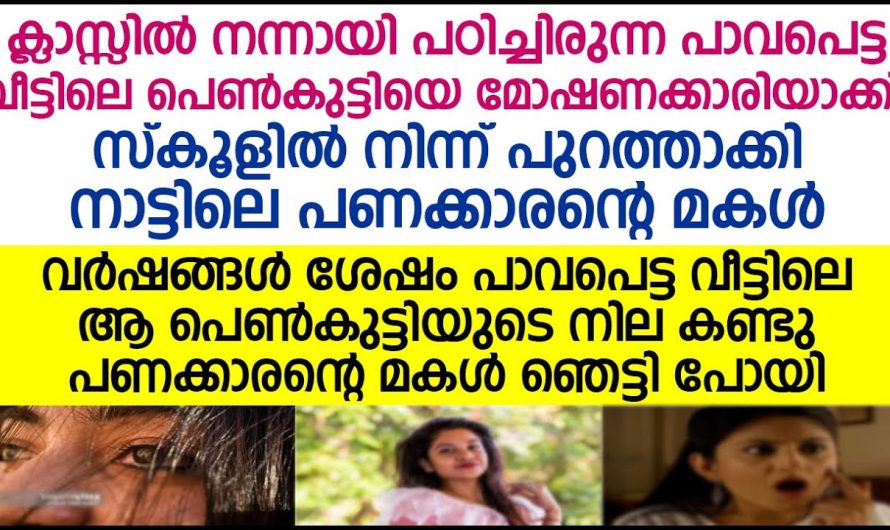 വർഷങ്ങൾക്ക് ശേഷം പാവപെട്ട വീട്ടിലെ ആ പെൺകുട്ടിയുടെ നില കണ്ടു പണക്കാരന്റെ മകൾ ഞെട്ടി പോയി