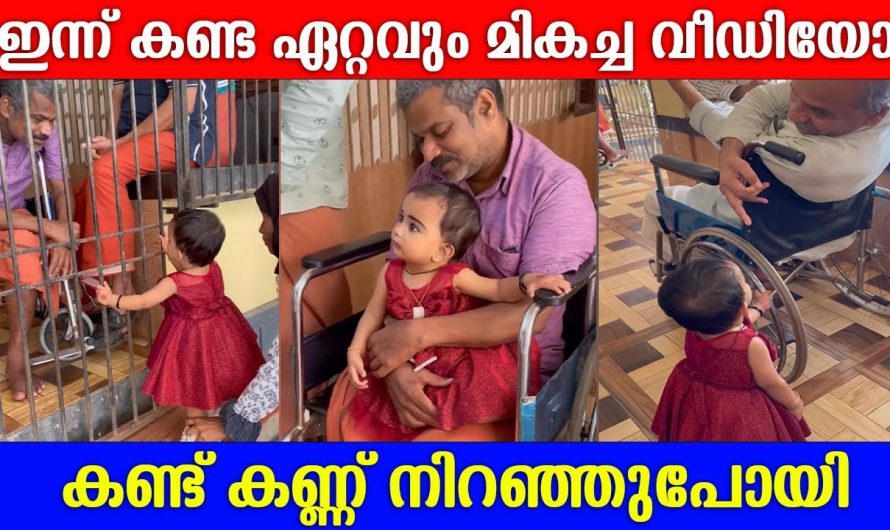 ഈ കുഞ്ഞിന്റെ അച്ഛനമ്മമാർ ആകട്ടെ ലോകത്തിലെ ഏറ്റവും ഭാഗ്യം ചെന്നവർ