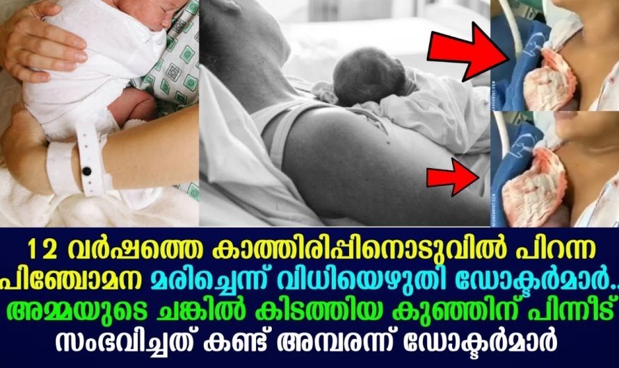 12 വർഷം കാത്തിരിപ്പിന് ഒടുവിൽ പിറന്ന കുഞ്ഞ് മരിച്ചെന്ന് വിധിയെഴുതിയ ഡോക്ടർ പിന്നെ സംഭവിച്ചത് !!!