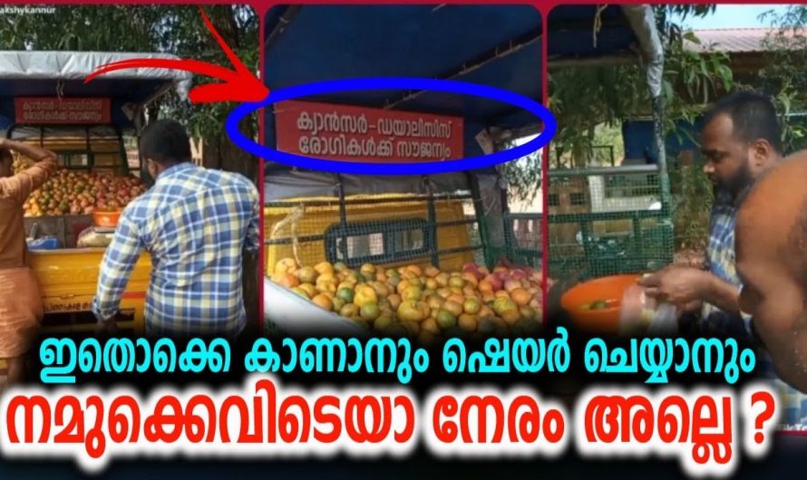 ഇങ്ങേർക്കൊക്കെ അല്ലെ ബിഗ് സല്യൂട്ട് നൽകേണ്ടത് ?