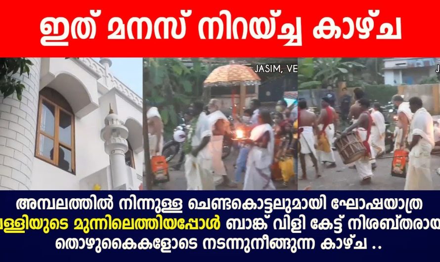 ഇന്ന് കണ്ടതിൽ ഏറ്റവും കൂടുതൽ മനസ് നിറയച്ച വീഡിയോ , കാണാതെ പോവരുത്