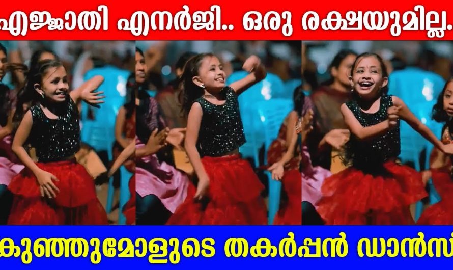 എജ്ജാതി എനർജി.. കുഞ്ഞു മോൾടെ ഡാൻസ് ഒരു രക്ഷയുമില്ല..
