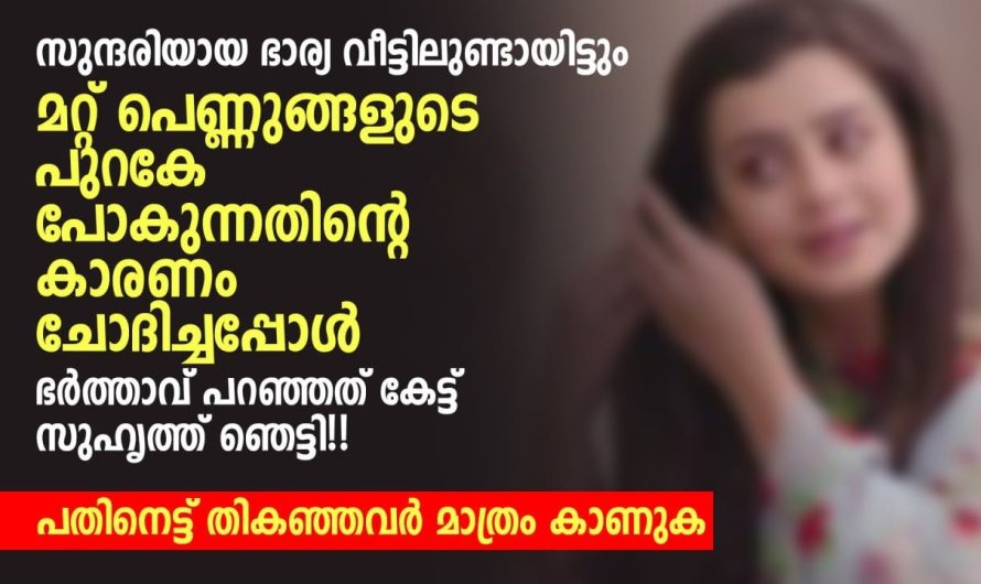 സുന്ദരിയായ ഭാര്യ വീട്ടിലുണ്ടായിട്ടും മറ്റ് പെണ്ണുങ്ങളുടെ പുറകേ പോകുന്നതിന്റെ കാരണം