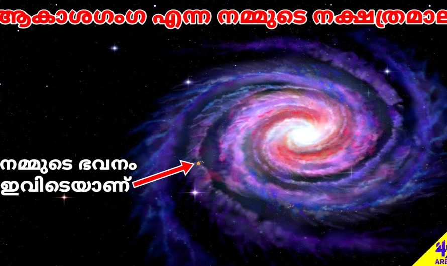 ക്ഷീരപഥം: പ്രപഞ്ചത്തിലെ നമ്മുടെ വീട്