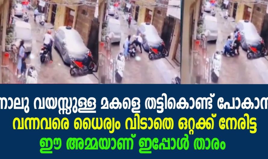 നാലു വയസ്സുള്ള മകളെ തട്ടികൊണ്ട് പോകാൻ വന്നവരെ ധൈര്യം വിടാതെ ഒറ്റക്ക് നേരിട്ട ഈ അമ്മയാണ് ഇപ്പോൾ താരം