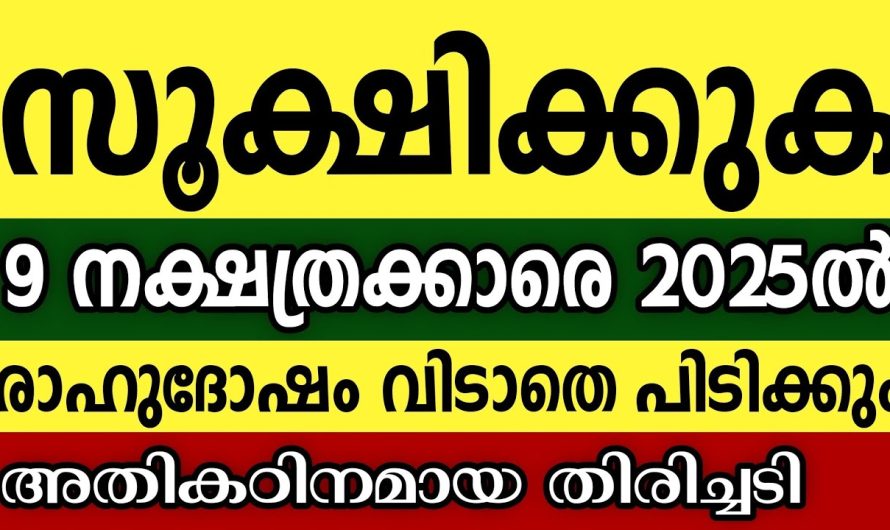 2025ൽ രാഹുദോഷം വെറുതെ വിടില്ല ഈ 9 നാളുകാരെ