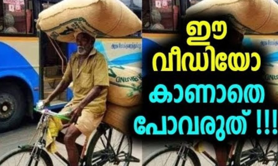 ഇതൊക്കെ കാണുമ്പോൾ ആരുടെ കണ്ണും നിറഞ്ഞുപോകും !!!