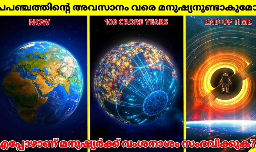 ലോകാവസാനം | പ്രപഞ്ചാവസാനത്തെ നമുക്ക് അതിജീവിക്കാൻ കഴിയുമോ?