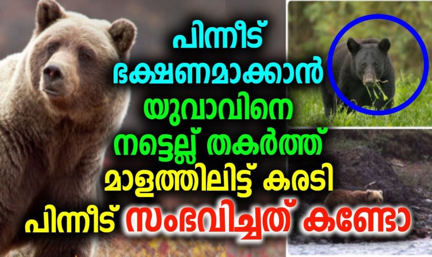 മരണത്തെ മുഖാമുഖം കണ്ട യുവാവിന് സംഭവിച്ചത് കണ്ടോ !!!!!