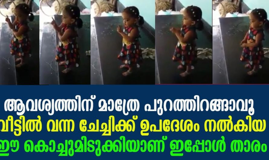ആവശ്യത്തിന് മാത്രേ പുറത്തിറങ്ങാവൂ വീട്ടിൽ വന്ന ചേച്ചിക്ക് ഉപദേശം നല്‍കിയ ഈ മിടുക്കിയാണ് താരം !!!