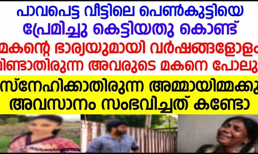 പാവപെട്ട വീട്ടിലെ മകന്റെ ഭാര്യയുമായി മിണ്ടാതിരുന്ന അമ്മായിമ്മക്കു അവസാനം സംഭവിച്ചത് കണ്ടോ