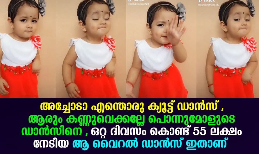 ഒരു ദിവസം കൊണ്ട് 55 ലക്ഷം ലൈക്ക് നേടി സോഷ്യൽ മീഡിയ കീഴടക്കിയ ആ കുഞ് രാജകുമാരി ഇതാണ് !!!!