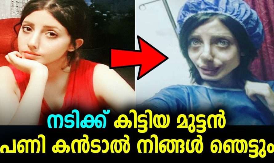 ദൈവത്തെ പരീക്ഷിച്ച നടിക്ക് കിട്ടിയ പണി കണ്ടാൽ നിങ്ങൾ ഞെട്ടും