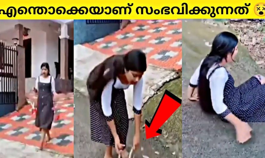 സംഭവം ക്യാമറയിൽ പതിഞ്ഞത് ഭാഗ്യം, തെളിവുണ്ടായി|ചിരിപ്പിച്ച് കൊല്ലും