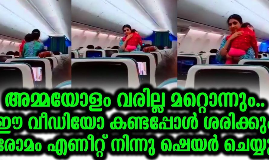 അമ്മയോളം വരില്ല മറ്റൊന്നും ഈ വീഡിയോ കണ്ടപ്പോൾ ശരിക്കും രോമാഞ്ചം വന്നു