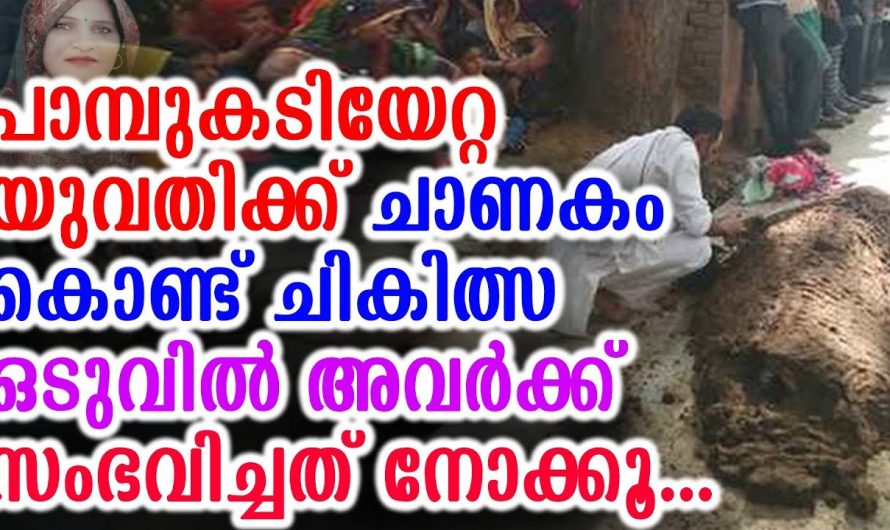 പാമ്പുകടിയേറ്റ യുവതിക്ക് ചാണകം കൊണ്ട് ചികിത്സ ഒടുവിൽ സംഭവിച്ചത് നോക്കൂ