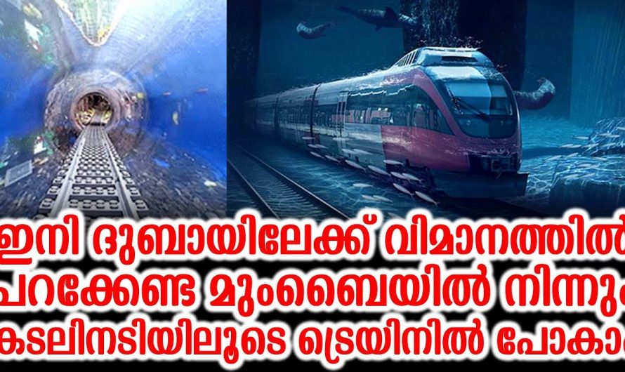 ഇനി ദുബായിലേക്ക് വിമാനത്തിൽ പറക്കേണ്ട കടലിനടിയിലൂടെ ട്രെയിനിൽ പോകാം