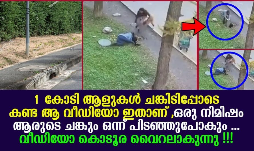 1 കോടി ആളുകൾ ചങ്കിടിപ്പോടെ കണ്ട ആ വീഡിയോ ഇതാണ് , വീഡിയോ കൊടൂര വൈറലാകുന്നു