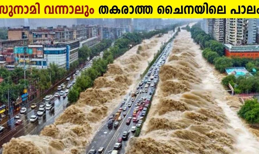 Engineering ലോകത്തെ അത്ഭുതങ്ങൾ!😱