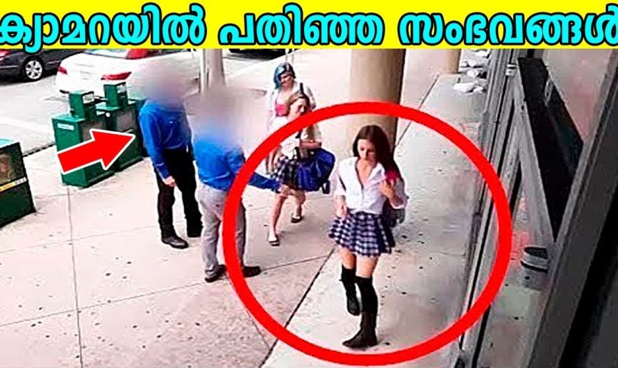 തീർച്ചയായും നിങ്ങളുടെ ശ്രദ്ധ പിടിച്ചുപറ്റുന്ന 10 കാര്യങ്ങൾ.