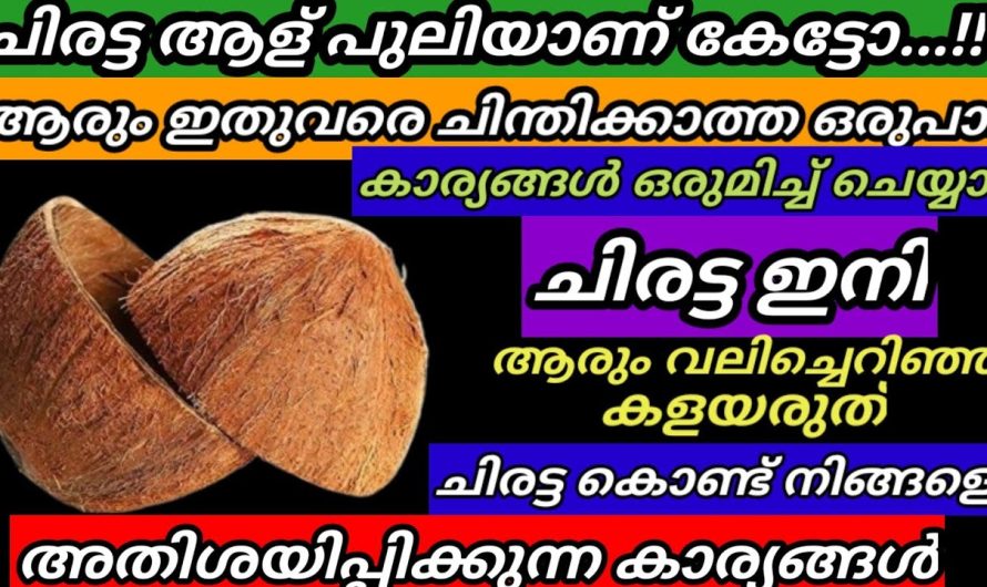 ചിരട്ട കൊണ്ടുള്ള ഈ സൂത്രങ്ങൾ ഇത്രയും കാലം അറിയാതെ പോയല്ലോ വീട്ടിലെ ക്ലീനിങ് എന്തെളുപ്പം