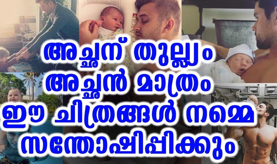 അച്ഛന് തുല്ല്യം അച്ഛൻ മാത്രം ഈ ചിത്രങ്ങൾ നമ്മെ സന്തോഷിപ്പിക്കും