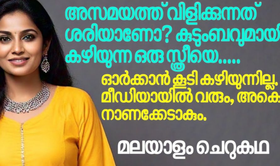 അന്ന് ഞാൻ മീനുക്കുട്ടിക്ക് ബാഡ് ടച്ച് ഒക്കെ പറഞ്ഞു കൊടുത്തപ്പോഴേ ഇയാൾ എതിർത്തിരുന്നു…