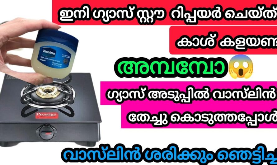 വാസ്‌ലിൻ കൊണ്ട് ഇതൊക്കെ ചെയ്യാൻ പറ്റുമെന്ന് ഇതുവരെ അറിഞ്ഞില്ലല്ലോ?