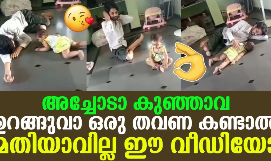 അച്ചോടാ കുഞ്ഞാവ ഉറങ്ങുവാ ഒരു തവണ കണ്ടാൽ മതിയാവില്ല ഈ വീഡിയോ