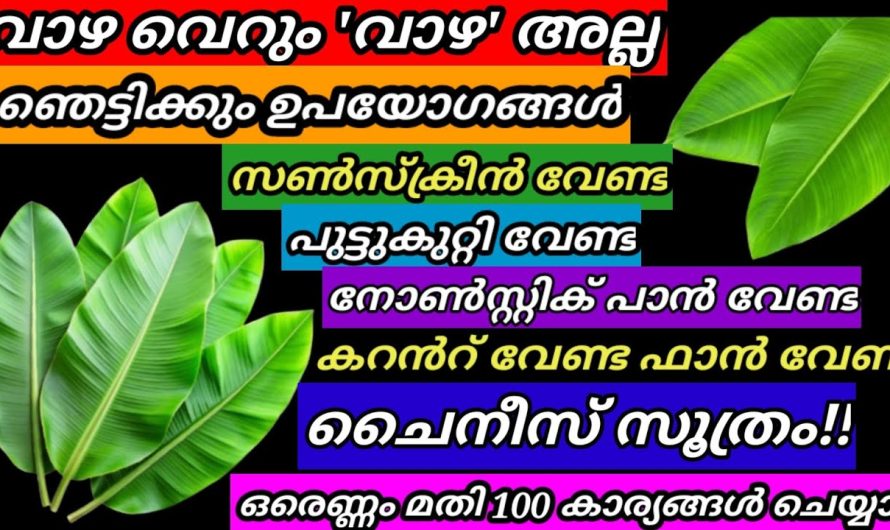 വാഴ വെറും വാഴ അല്ല വെറുതെ വെട്ടി കളയരുതേ ചൈനക്കാർ ചെയ്യുന്ന സൂത്രങ്ങൾ ചെയ്തു നോക്കൂ