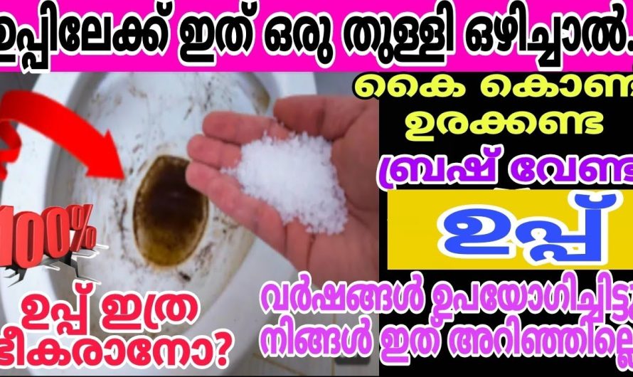 വർഷങ്ങൾ ഉപ്പ് ഉപയോഗിച്ചിട്ടും ഈ സൂത്രം ആരും അറിഞ്ഞില്ലെ വീട് എപ്പോഴും ക്ലീൻ