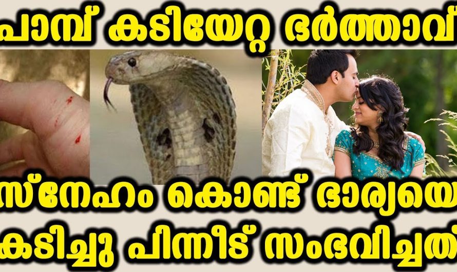പാമ്പ് കടിയേറ്റ് ഭര്‍ത്താവ് സ്നേഹം കൊണ്ട് ഭാര്യയെ കടിച്ചു പിന്നീട് സംഭവിച്ചത്