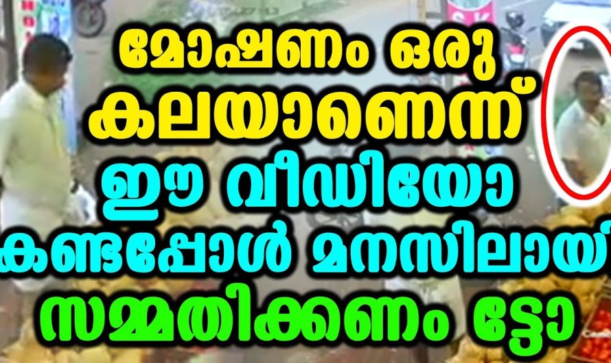 മോഷണം ഒരു കലയാണെന്ന് ഈ വീഡിയോ കണ്ടപ്പോൾ മനസിലായി സമ്മതിക്കണം ട്ടോ ആ ചേട്ടനെ