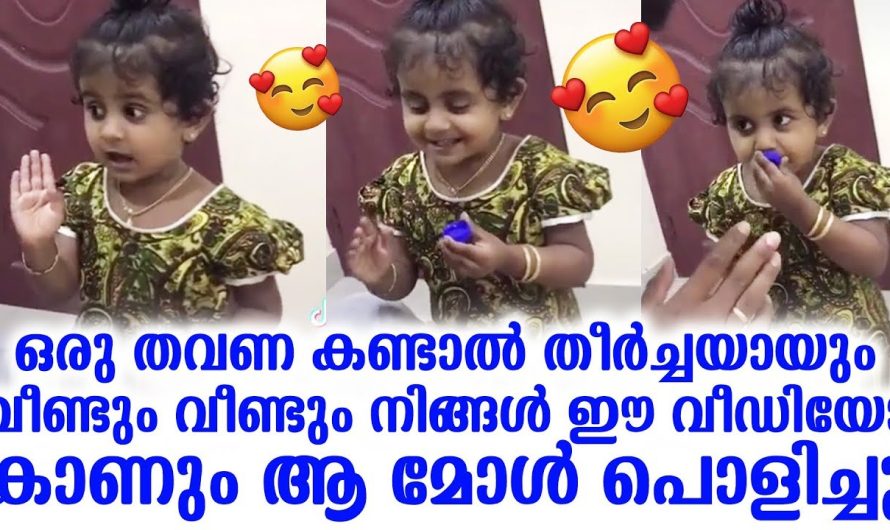 ഒരു തവണ കണ്ടാൽ തീർച്ചയായും വീണ്ടും വീണ്ടും നിങ്ങൾ