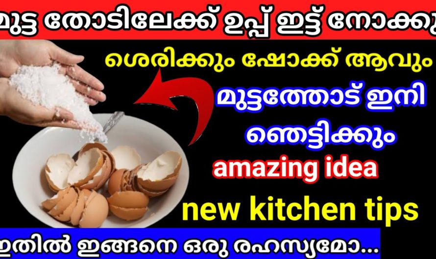 മാവ് സോപ്പ് പോലെ പതഞ്ഞു പൊങ്ങാൻ ഇത് മാത്രം മതി