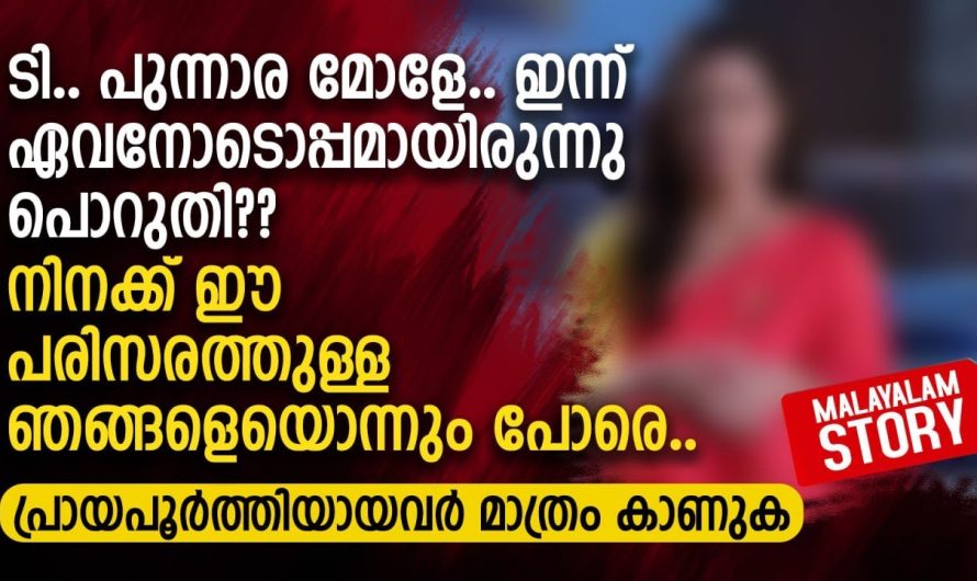 പുന്നാരമോളേ.. ഇന്ന് ഏവനോടൊപ്പമായിരുന്നു പൊറുതി