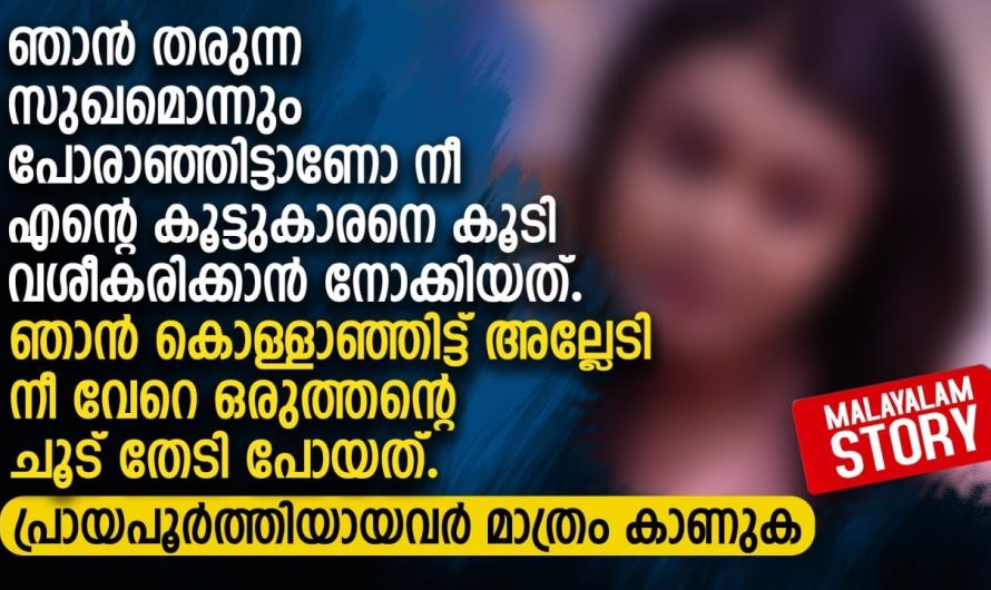 ഞാൻ തരുന്ന സുഖമൊന്നും പോരാഞ്ഞിട്ടാണോ നീ എന്റെ കൂട്ടുകാരനെ കൂടി