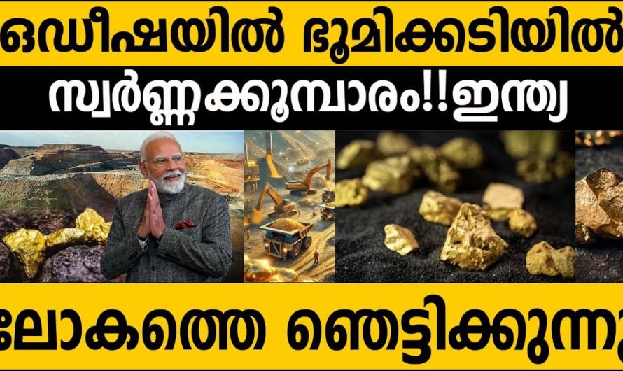 വിലമതിക്കാൻ ആകാത്ത സ്വർണ്ണ നിക്ഷേപം ഇന്ത്യയിൽ