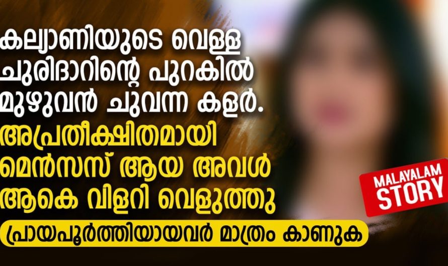 അപ്രതീക്ഷിതമായി മെൻസസ് ആയ അവൾ ആകെ വിളറി വെളുത്തു