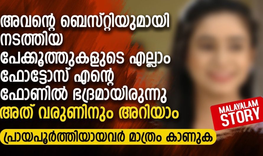 അവന്റെ ബെസ്റ്റിയുമായി നടത്തിയ പേക്കൂത്തുകളുടെ എല്ലാം ഫോട്ടോസ് എന്റെ ഫോണിൽ ഭദ്രമായിരുന്നു