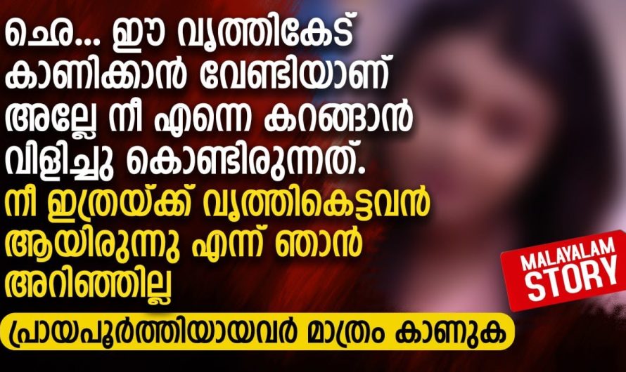 ഛെ.. കാണിക്കാൻ വേണ്ടിയാണ് അല്ലേ നീ എന്നെ കറങ്ങാൻ വിളിച്ചു കൊണ്ടിരുന്നത്.